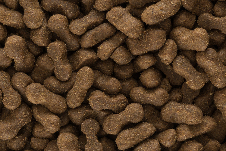 Hundefutter-Kroketten in verschiedenen Formen
