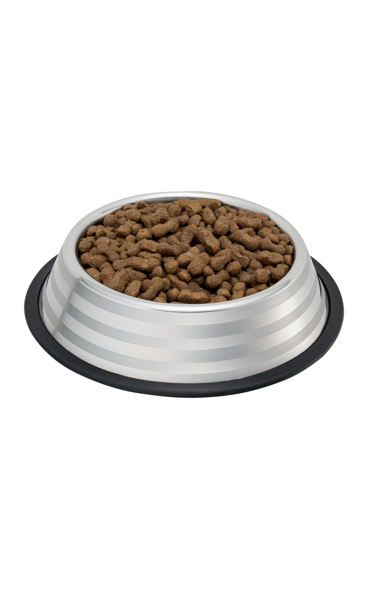 Futternapf mit trockenem Hundefutter