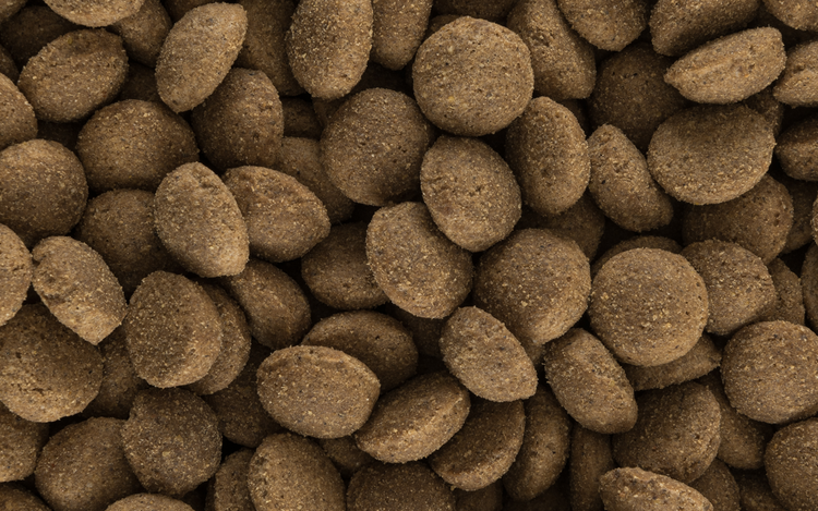 Runde Hundefutter-Kroketten in Nahaufnahme