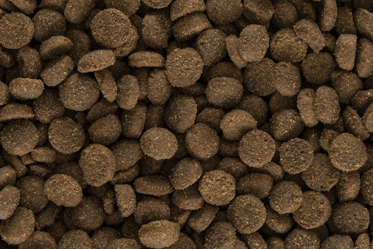 Hundefutter-Kroketten in Nahaufnahme