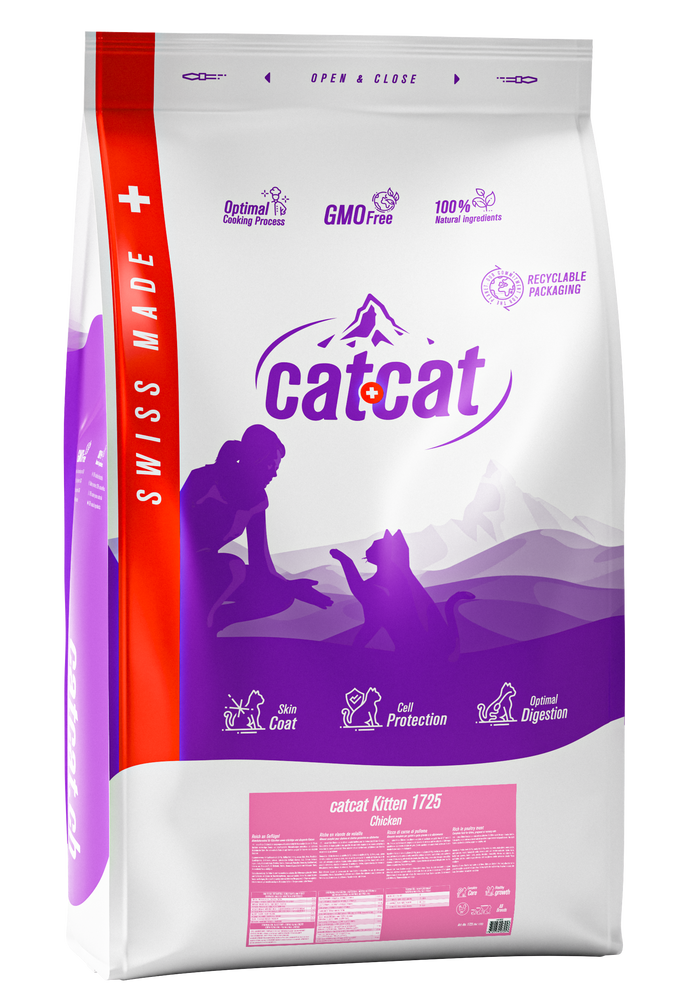 CatCat Kitten Chicken