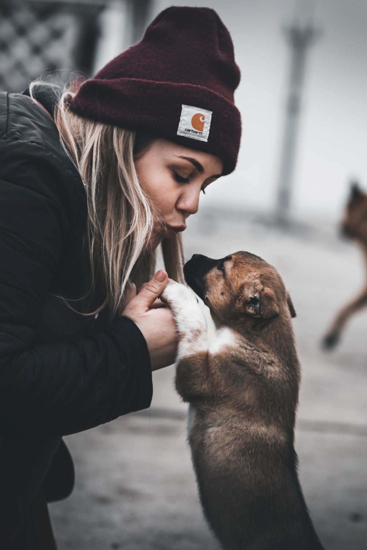 Hund mit Halterin in der Natur