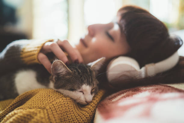 Katze und catcat Futter