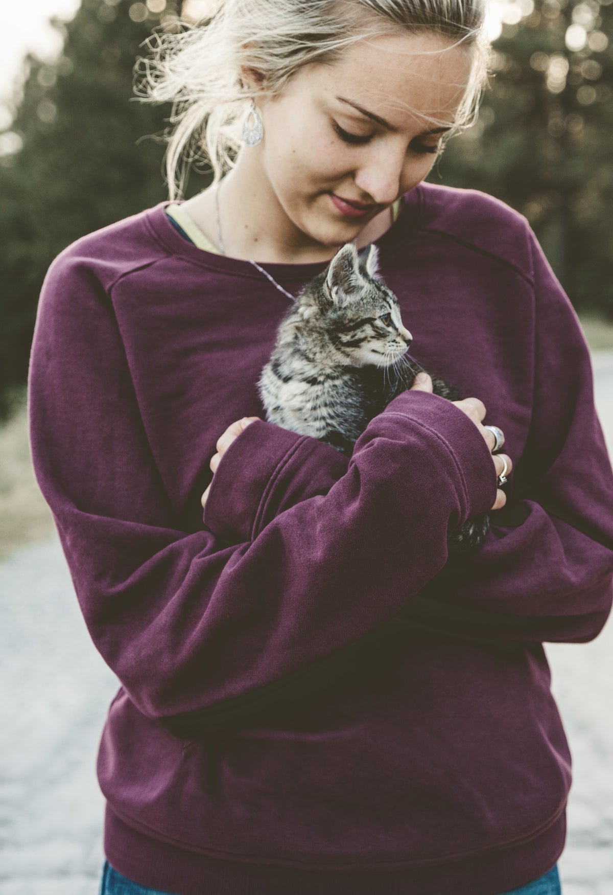 Aufmerksame Katze in natürlicher Umgebung