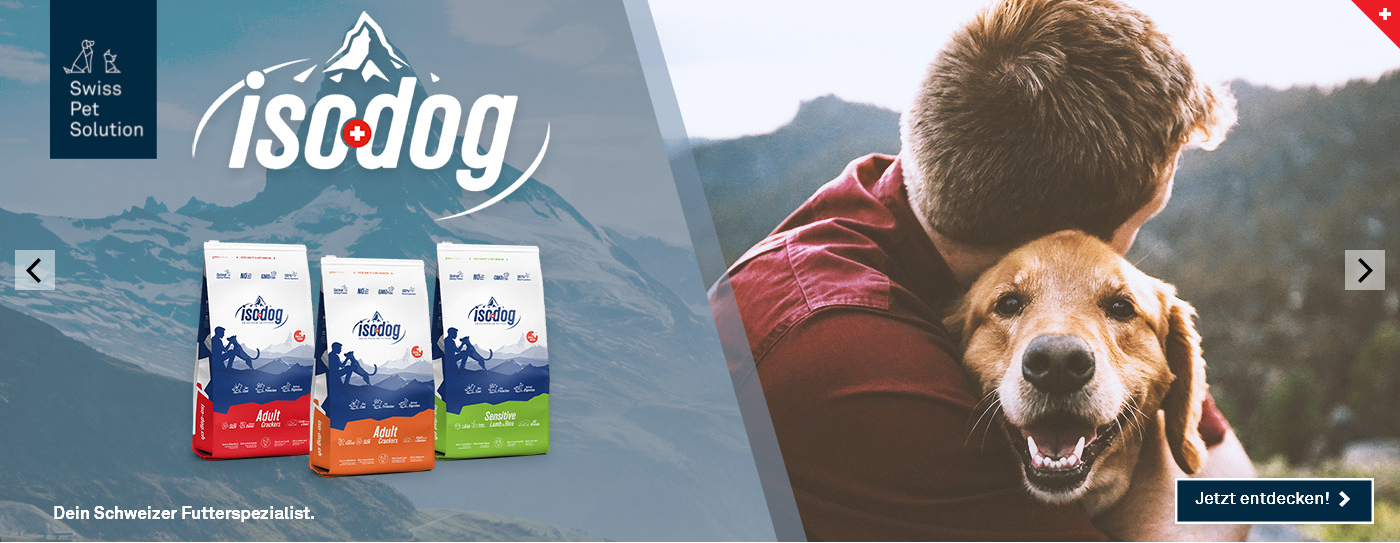 dogdog Banner