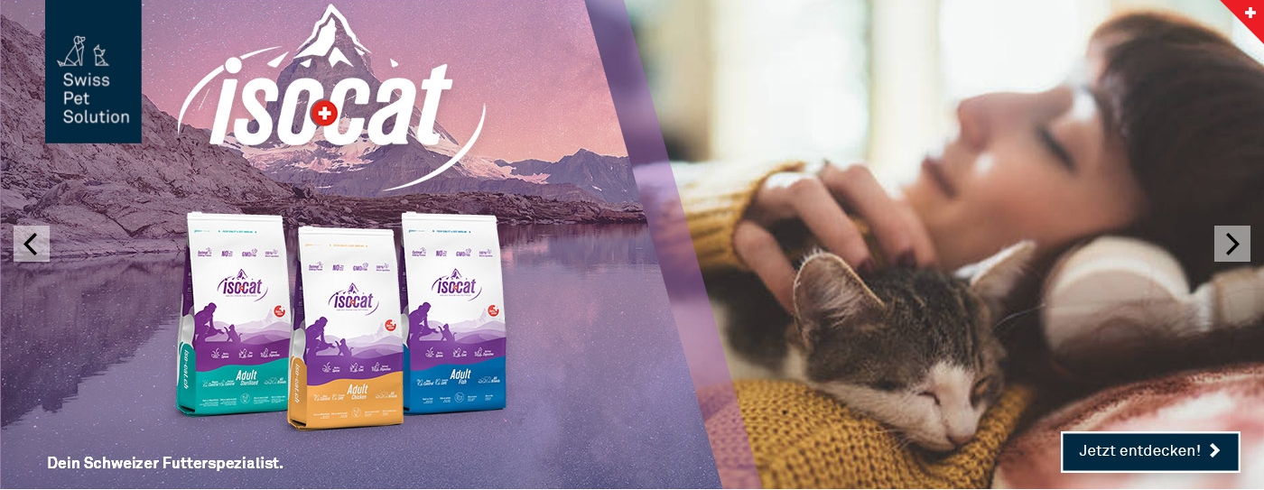 catcat Banner